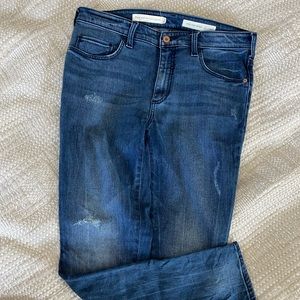 Anthropologie Pilcro High Rise Skinny sz 30